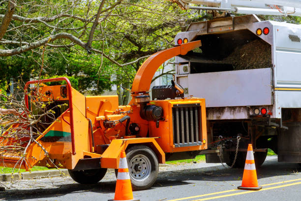 Best Commercial Tree Services  in Fenton, MO